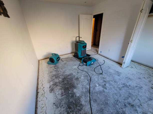 Best Local water damage restoration  in New Hartford Center, CT