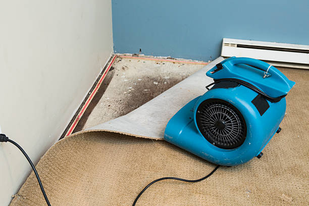 Best Water damage restoration near me  in New Hartford Center, CT